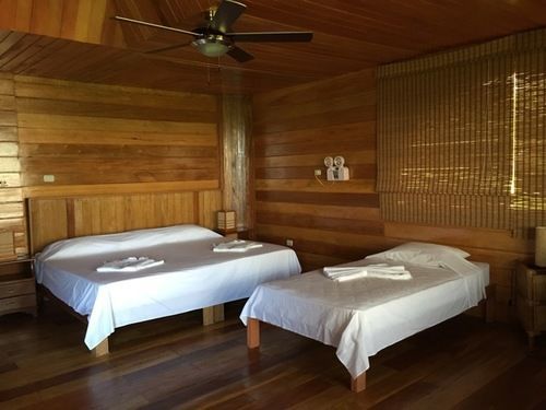 איקיטוס Samiria Ecolodge מראה חיצוני תמונה